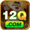 12q Premium Gaming App